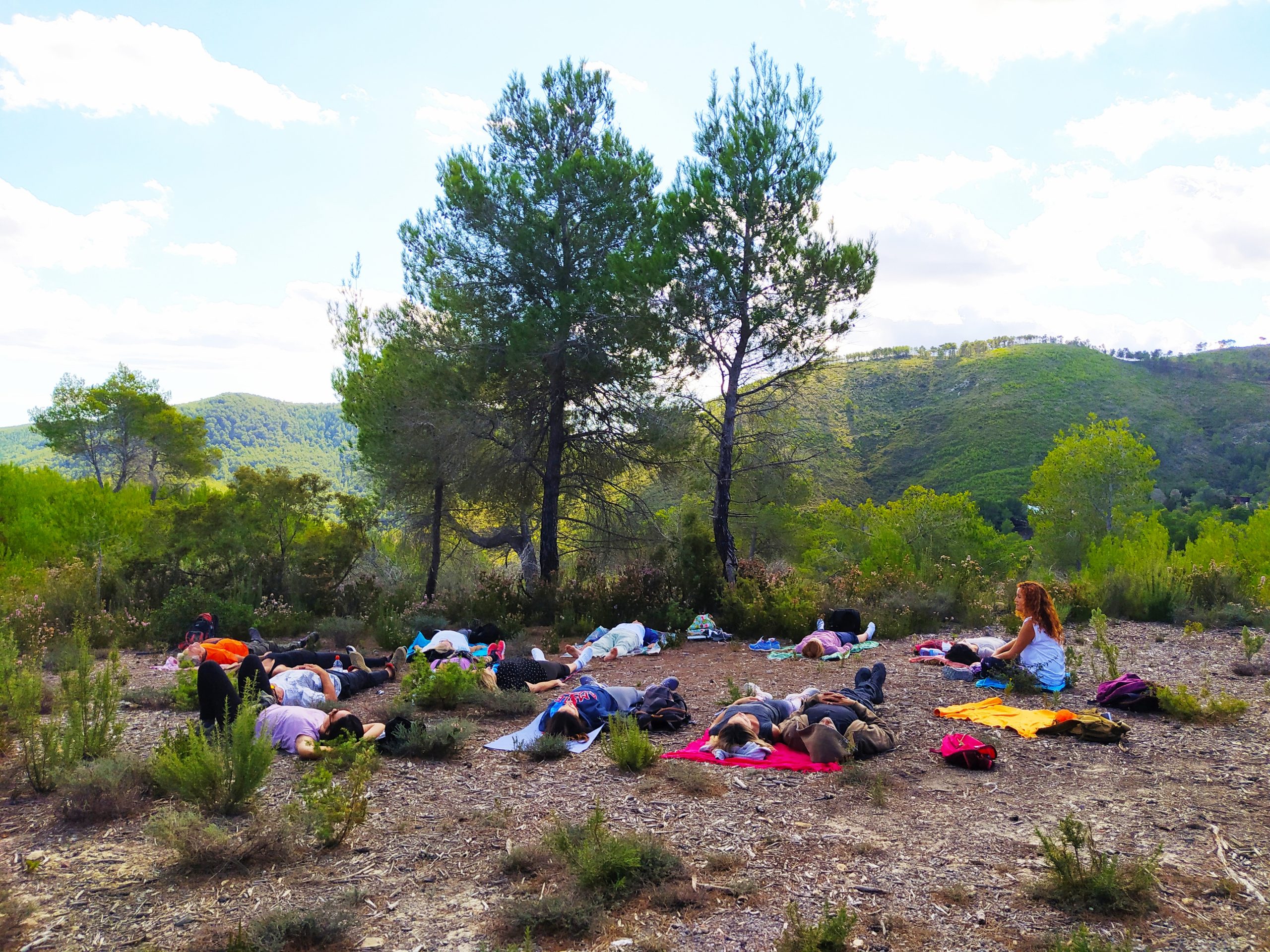 IMG_20201024_175940 IMG_20201024_175940